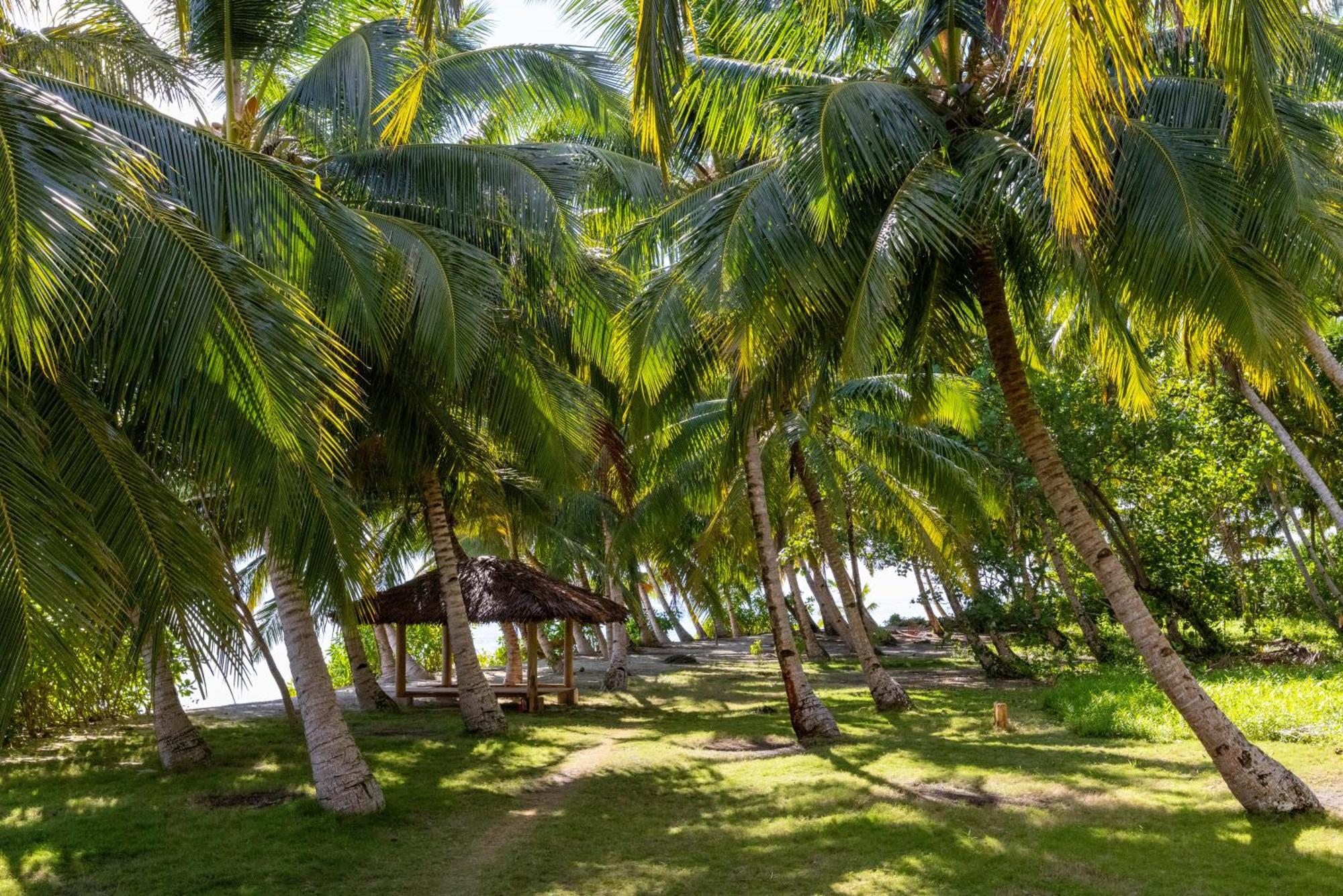 Tua Pejat Aloita Resort Mentawai מראה חיצוני תמונה